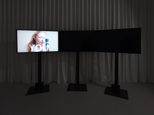 
     <i>Three Infomericals</i>, 
     2016<br />
     Three-channel HD video installation, colour, sound, 
      1:49 min<br />
     Exhibition view Julia Stoschek Collection, Berlin, Germany, 2016