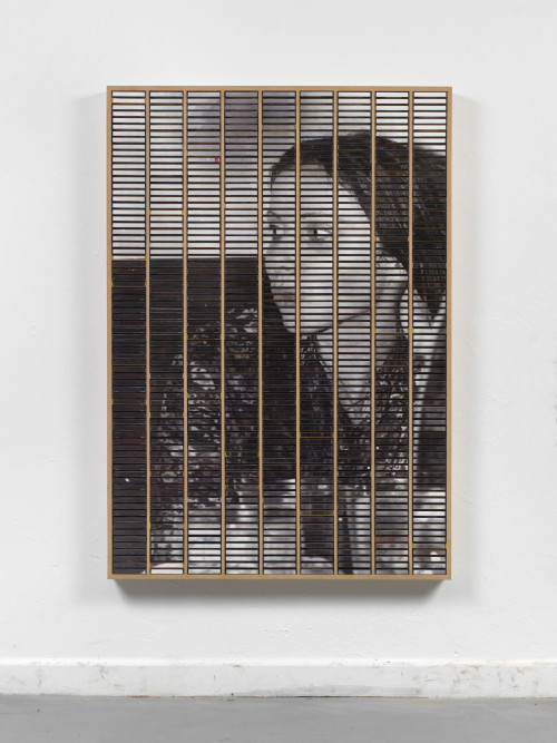 
     <i>o. T. (Mama)</i>, 
     2015<br />
     ink jet print, inlays and plastic boxes in wooden case, 
      159 x 112 cm<br />
     