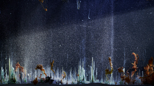 
     
     <i>Présage (09.05.2019,10:03 am)</i>,      2019<br />
     4k color video, 
      Duration 10min 03s<br />
      