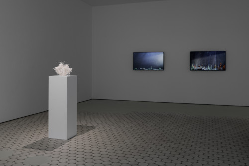 
      
     2019-2020<br />
     Installation view, 'Enclosed Natures' exhibition at Wentrup, 
     <br />
     Photo credit: Trevor Good