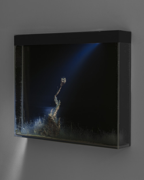 
     <i>Kéromancies #6</i>, 
     2019<br />
     Artificial bronze, tin and brass concretions, glass tank, water, light, controlled electro-conductivity, polymers, 
      50 x 60 x 10 cm<br />
     