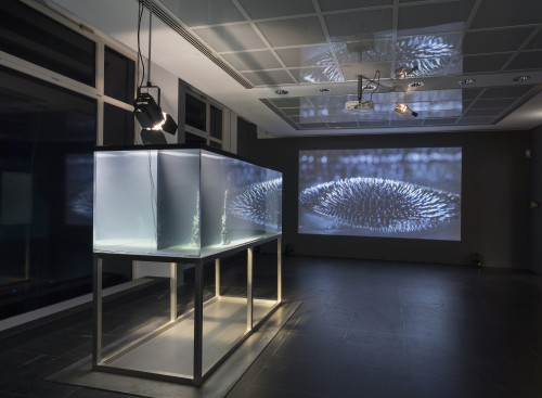 
     <i>Installation view, Frankfurter Kunstverein, Frankfurt, Germany</i>, 
     2018<br />
     Copyright Frankfurter Kunstverein, Photo: Wolfgang Günzel, 
     <br />
     