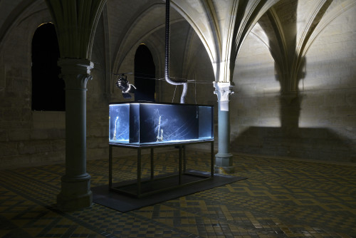 
     <i>L’abbaye de Maubuisson, Saint-Ouen l’Aumône, France</i>, 
     2017<br />
      
     <br />
     