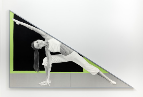 
     <i>Brahmos</i>, 
     2014<br />
     pencil and enamel on paper, 
      165 x 261 cm<br />
     