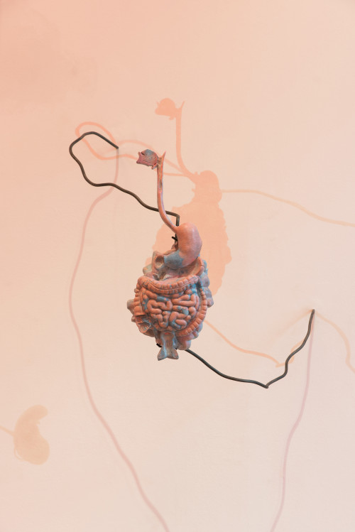 
     <i>WOMB TOMB</i>, 
     2014/ 2018<br />
     mixed media installation, 
      various dimensions<br />
     Installation view “Blind Faith: Between the Visceral and the Cognitive in Contemporary Art”, Haus der Kunst, Munich, Germany, 2018. Photo: Max Geutler