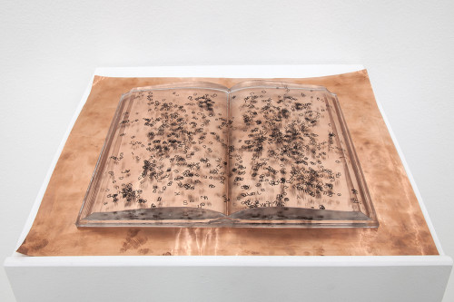 
     <i>book (unlearning) - entire histories are learnt by heart</i>, 
     2013<br />
     polyurethane, aluminum, copper, 
      40 x 30 x 3 cm<br />
     