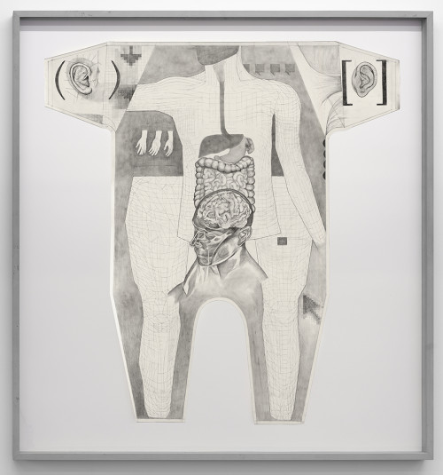 
     <i>Common Carrier Case (Präparat - Avatar)</i>, 
     2012<br />
     graphite on paper and cement, 
      158 x 160 x 12 cm<br />
     