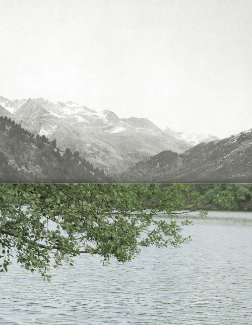 
     <i>Nothing</i>, 
     2019<br />
     Pigment Print, 
      50 x 39 cm<br />
     