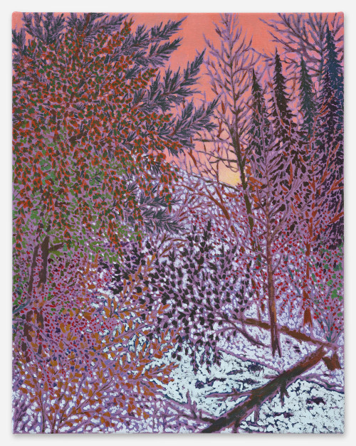 <i>crest lit alight</i>, 2023<br />Oil on canvas, 58 x 46 cm<br />